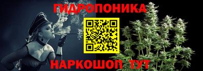 крисы Ипатово